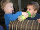 Cousin E shares some milk with Cousin D.